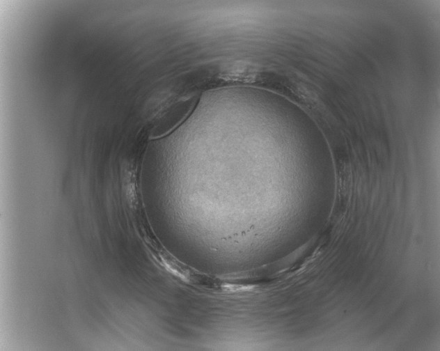 X0000067471154200604071147