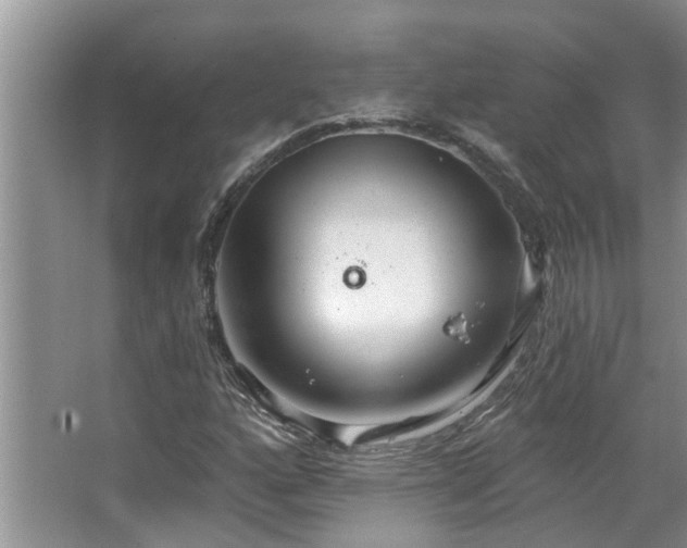 X0000067471160200604071147