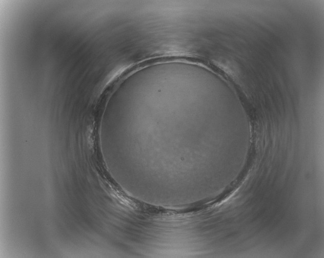 X0000067471163200604071146