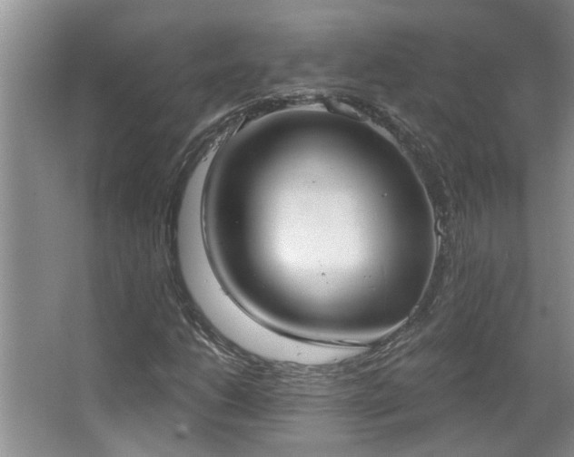 X0000067471206200604071145