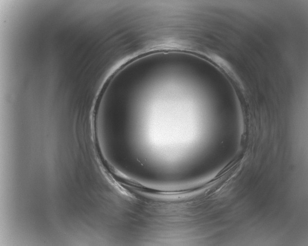 X0000067471238200604071146
