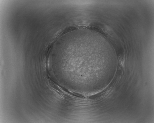 X0000067471252200604071145