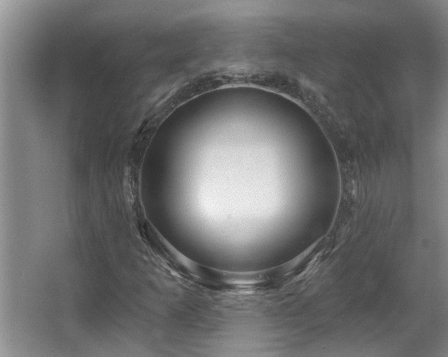 X0000067471253200604071145