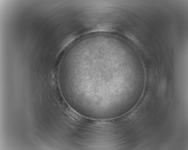 X0000067471258200604071145