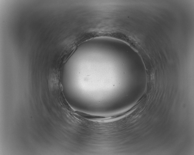 X0000067471300200604071143