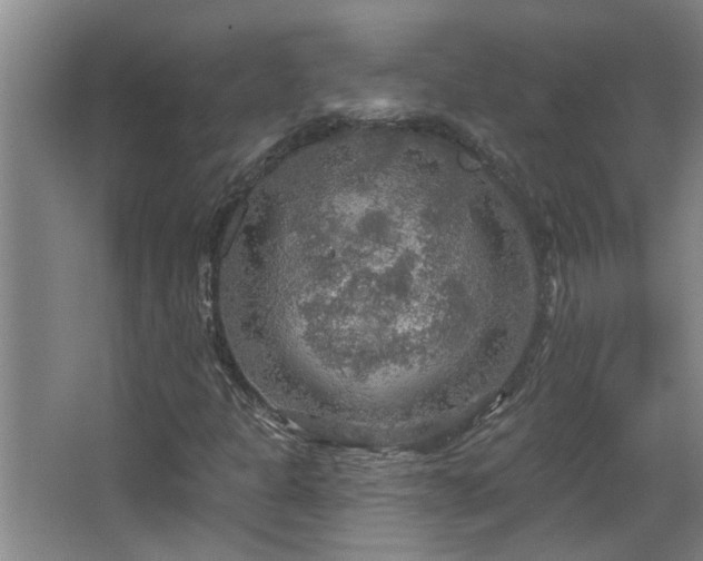 X0000067471301200604071144