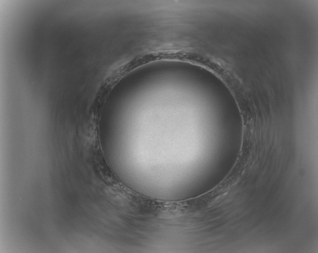 X0000067471350200604071143
