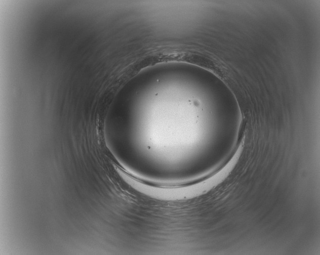 X0000067471394200604071142