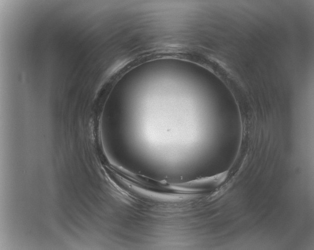 X0000067471402200604071142