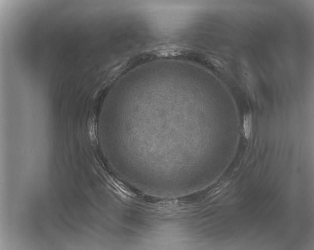 X0000067471444200604071142