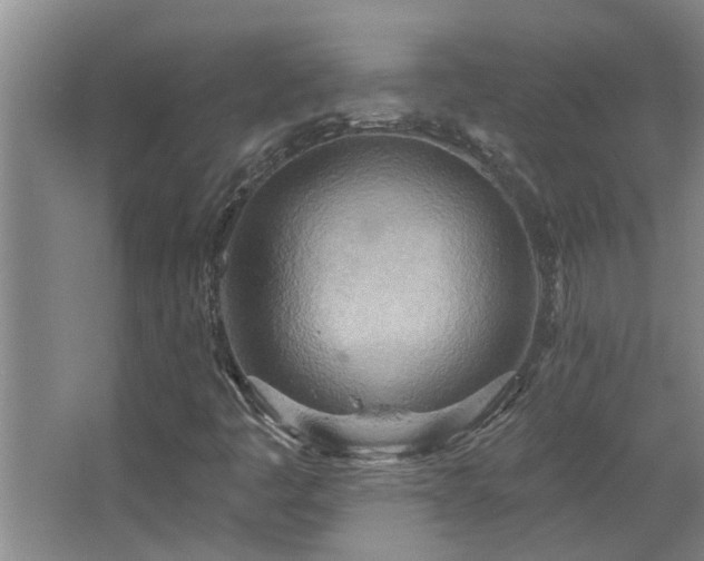 X0000067471445200604071142