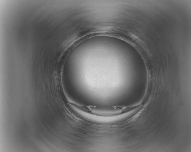 X0000067471449200604071142