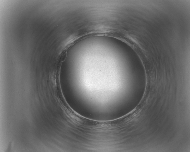 X0000067471451200604071142