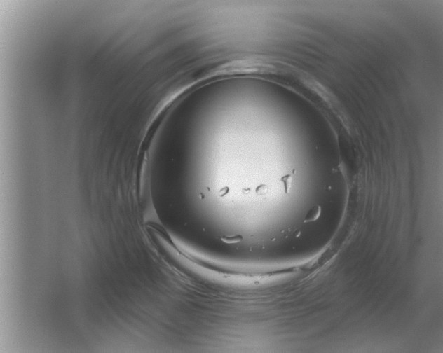 X0000067471465200604071141