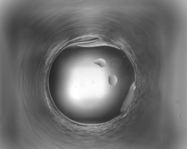 X0000067470001200604101211