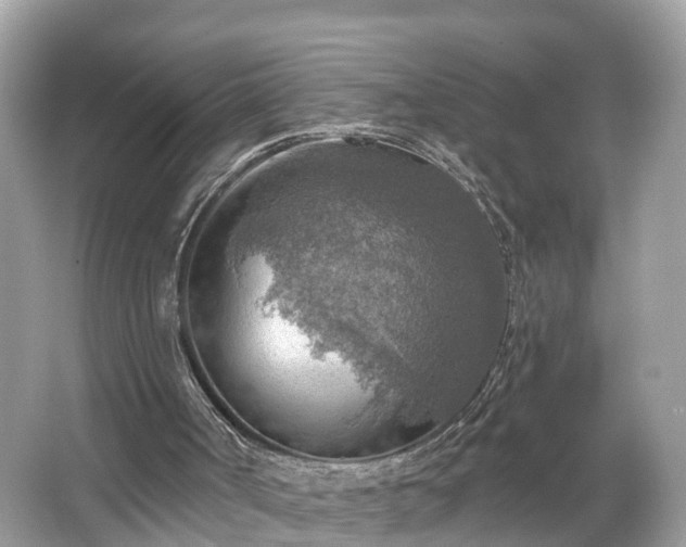 X0000067470002200604101211