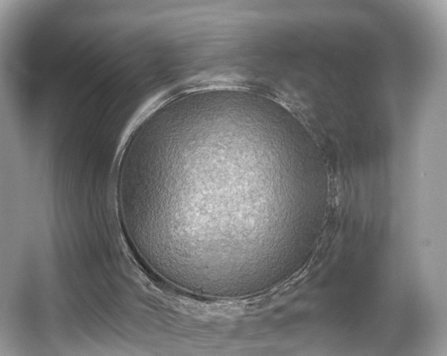 X0000067470004200604101211