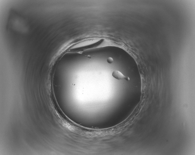 X0000067470005200604101211