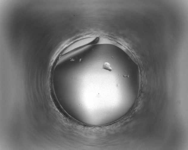 X0000067470007200604101211