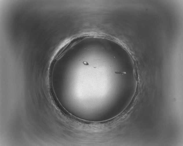 X0000067470008200604101211