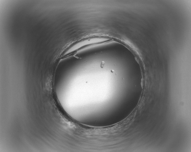 X0000067470009200604101211