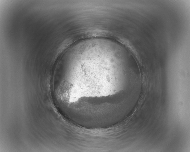 X0000067470010200604101211