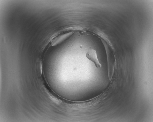 X0000067470013200604101211