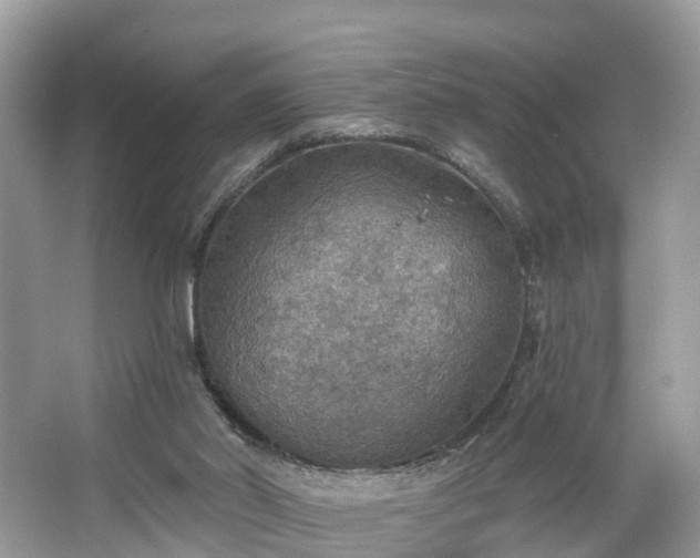 X0000067470014200604101211