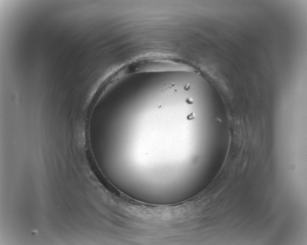 X0000067470015200604101211