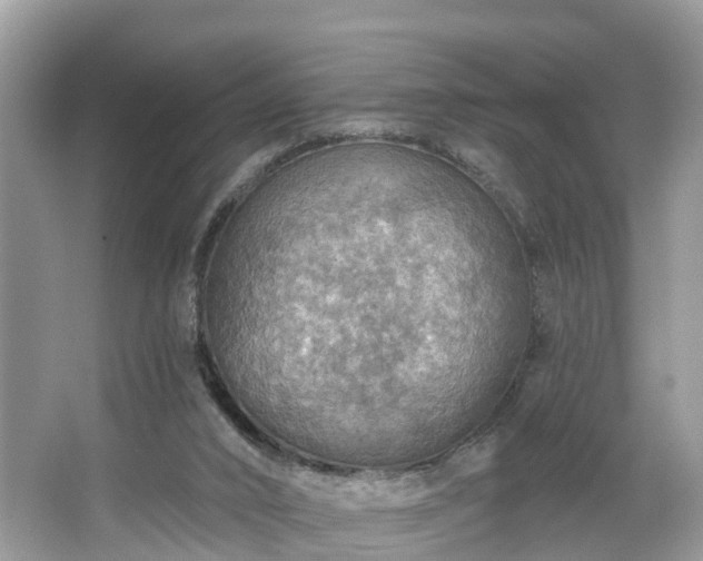 X0000067470016200604101211