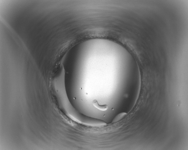 X0000067470017200604101211