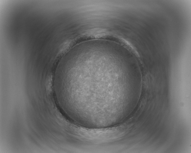 X0000067470018200604101211