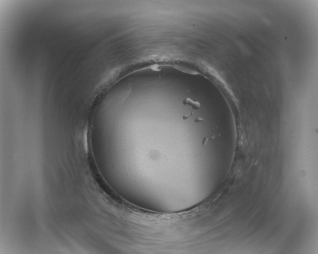 X0000067470019200604101211