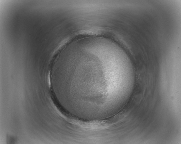 X0000067470020200604101211