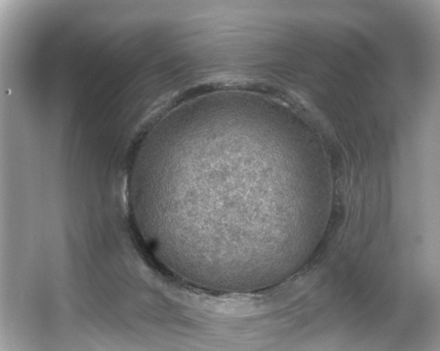 X0000067470024200604101211