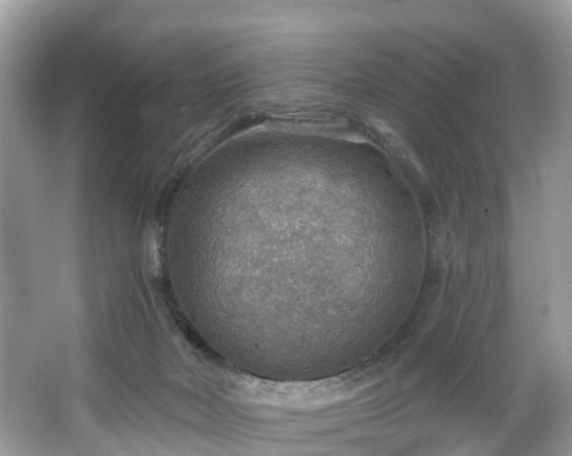 X0000067470026200604101211