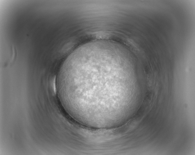 X0000067470028200604101210