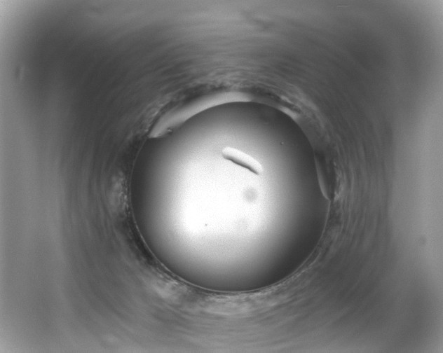 X0000067470029200604101210