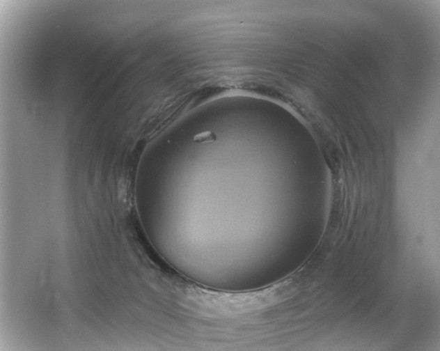 X0000067470031200604101210