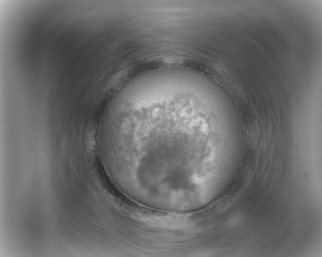 X0000067470032200604101210