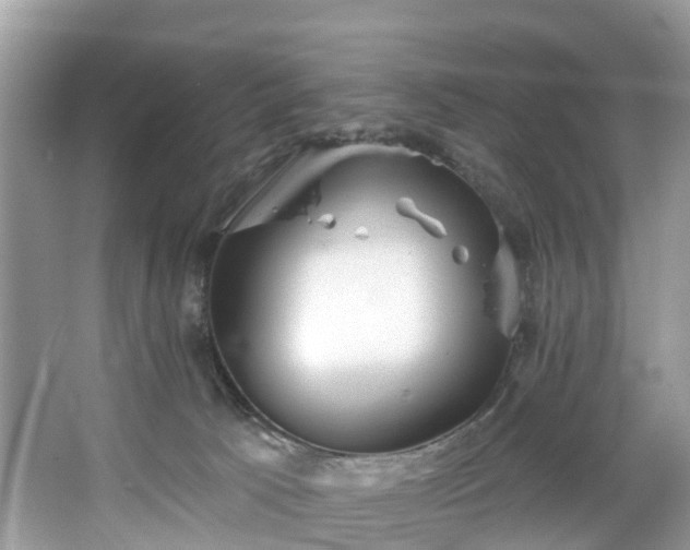 X0000067470033200604101210