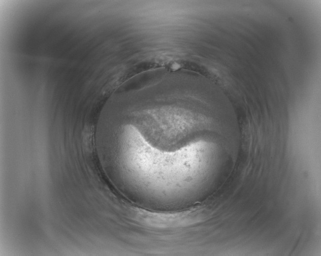 X0000067470034200604101210