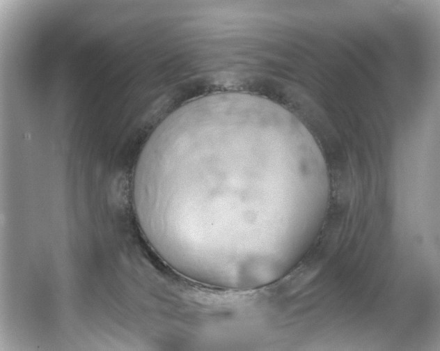 X0000067470036200604101210