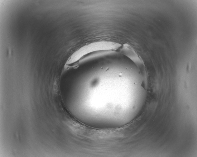 X0000067470037200604101210