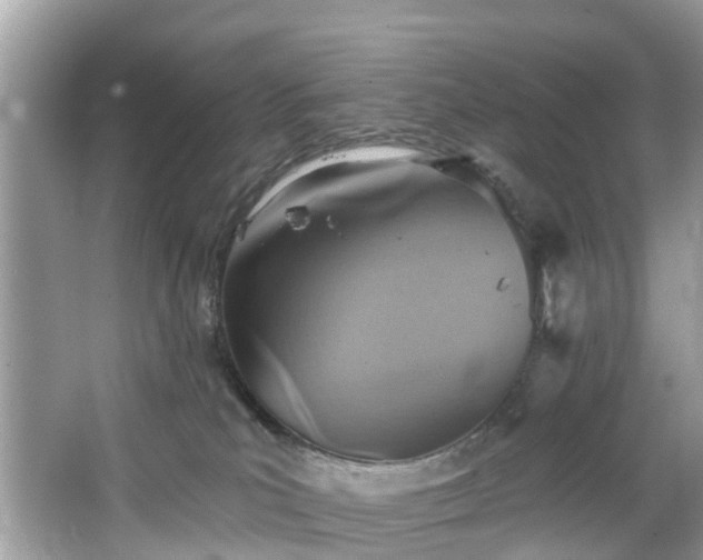 X0000067470039200604101210