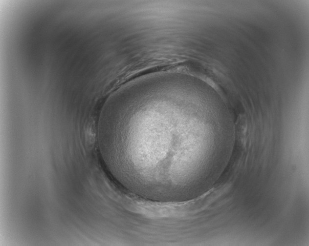 X0000067470040200604101210