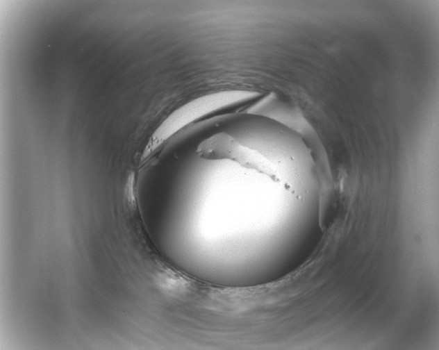 X0000067470041200604101210