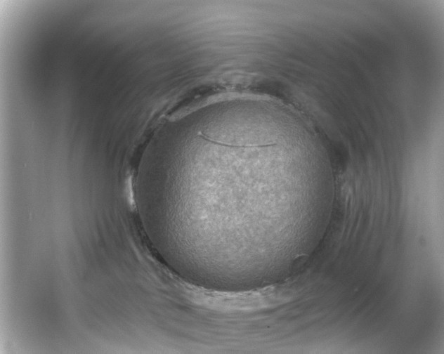 X0000067470042200604101210