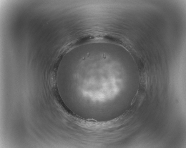 X0000067470043200604101210