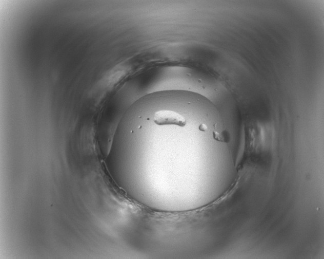 X0000067470045200604101210